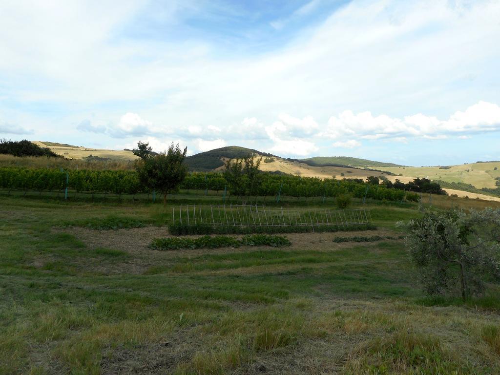 Agriturismo Santa Bruna Βίλα Βολτέρρα Εξωτερικό φωτογραφία