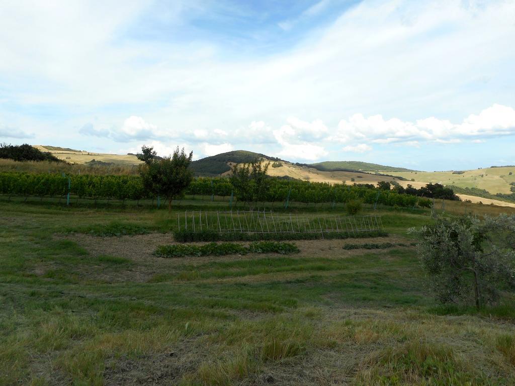 Agriturismo Santa Bruna Βολτέρρα Εξωτερικό φωτογραφία