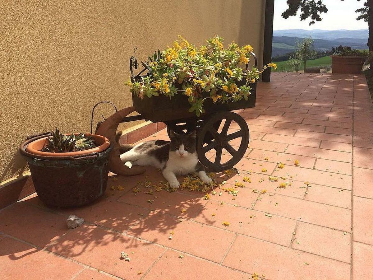 Agriturismo Santa Bruna Βίλα Βολτέρρα Εξωτερικό φωτογραφία